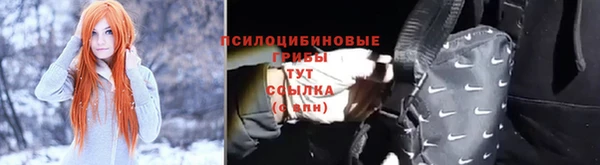 стаф Беломорск