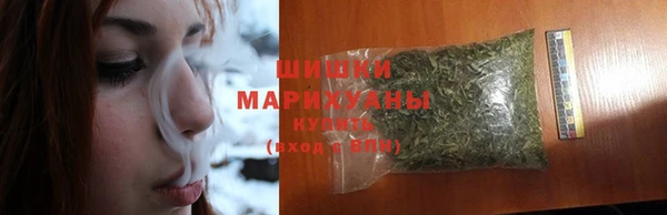 трава Белокуриха