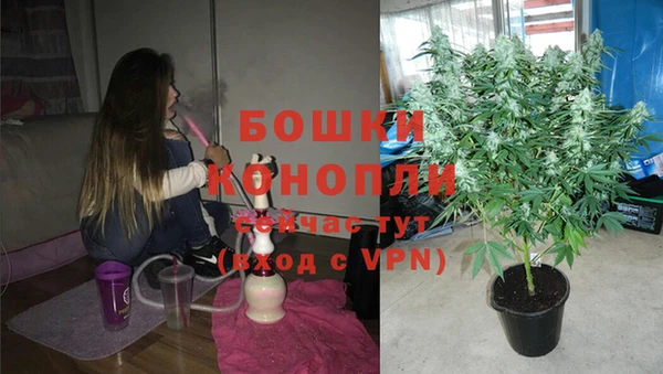 трава Белокуриха