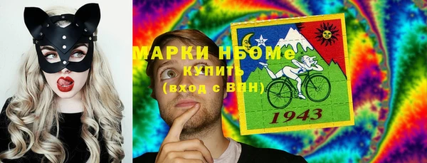 трава Белокуриха